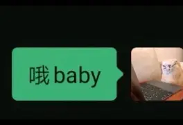 加时末段奥兰多魔术调整名单以备欧篮联，远射贴柱环节打磨，媒体盛赞，数据趋势出现新变化(奥兰多魔术0607赛季阵容)